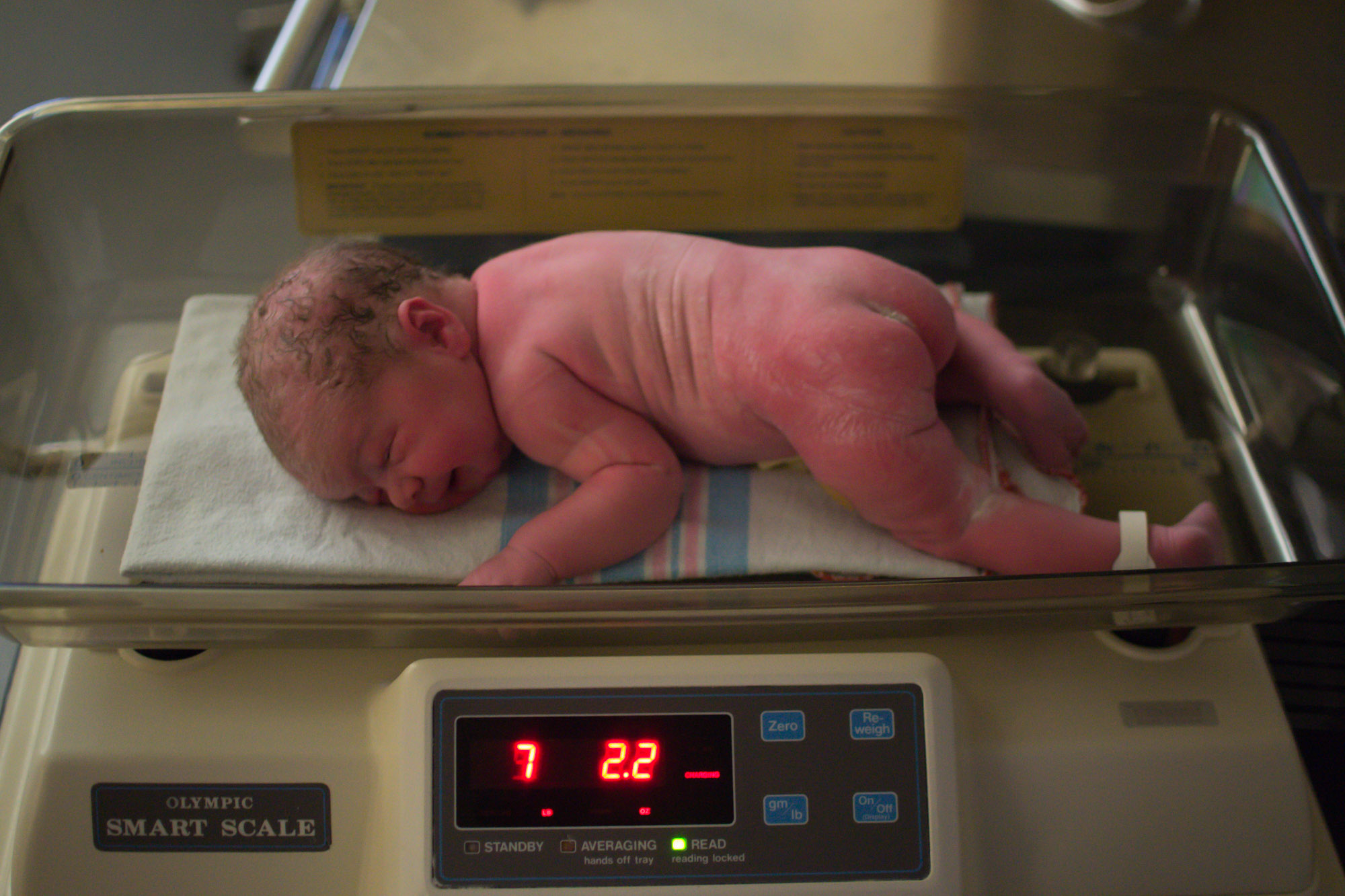 Wild Rosebuds: Poppy's Birth Story