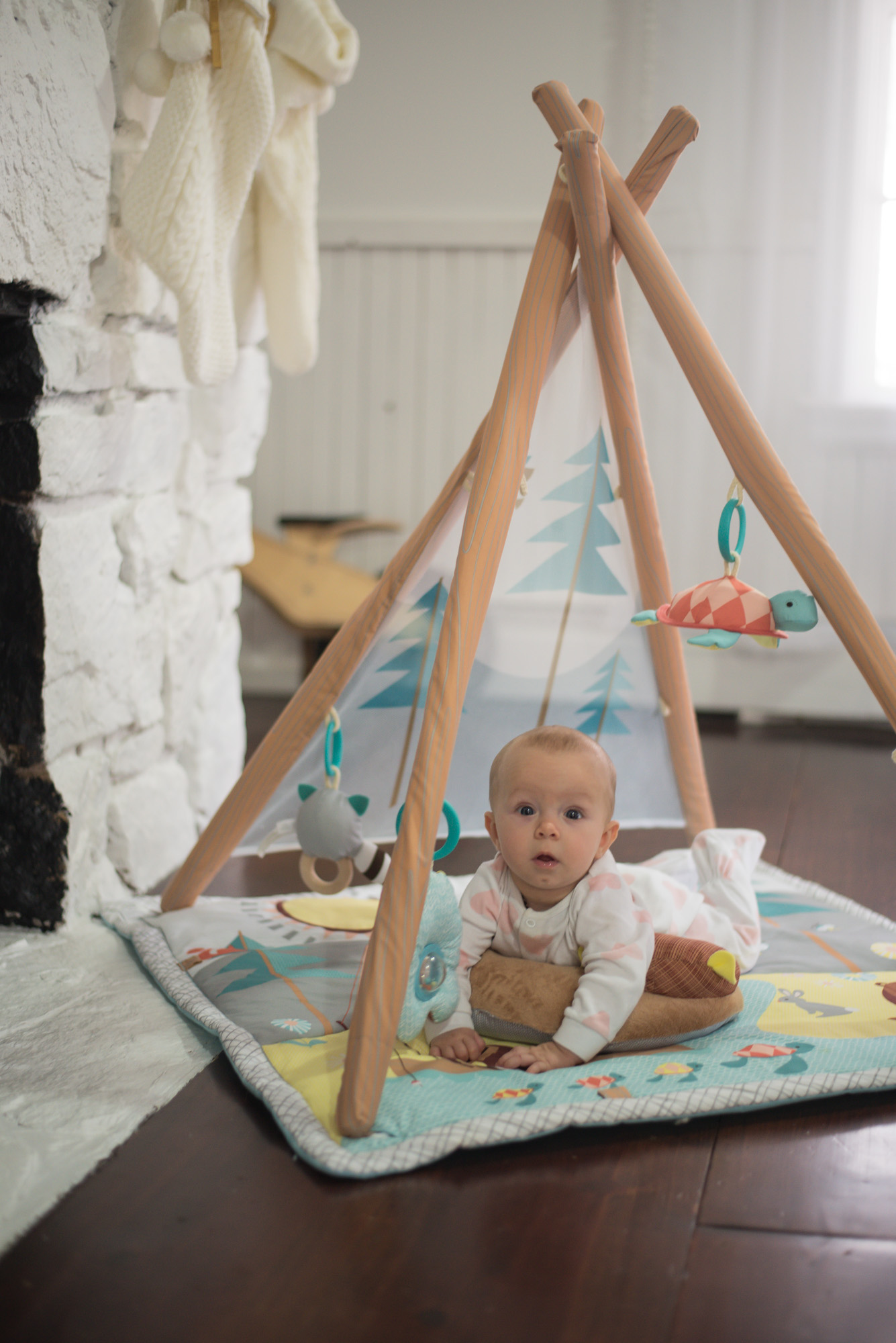 Skip hop Camping Cubs Activity gym, the perfect gift for baby;s first christmas