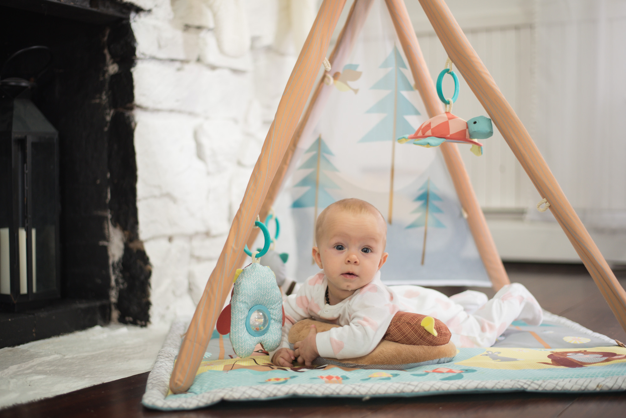 Skip hop Camping Cubs Activity gym, the perfect gift for baby;s first christmas