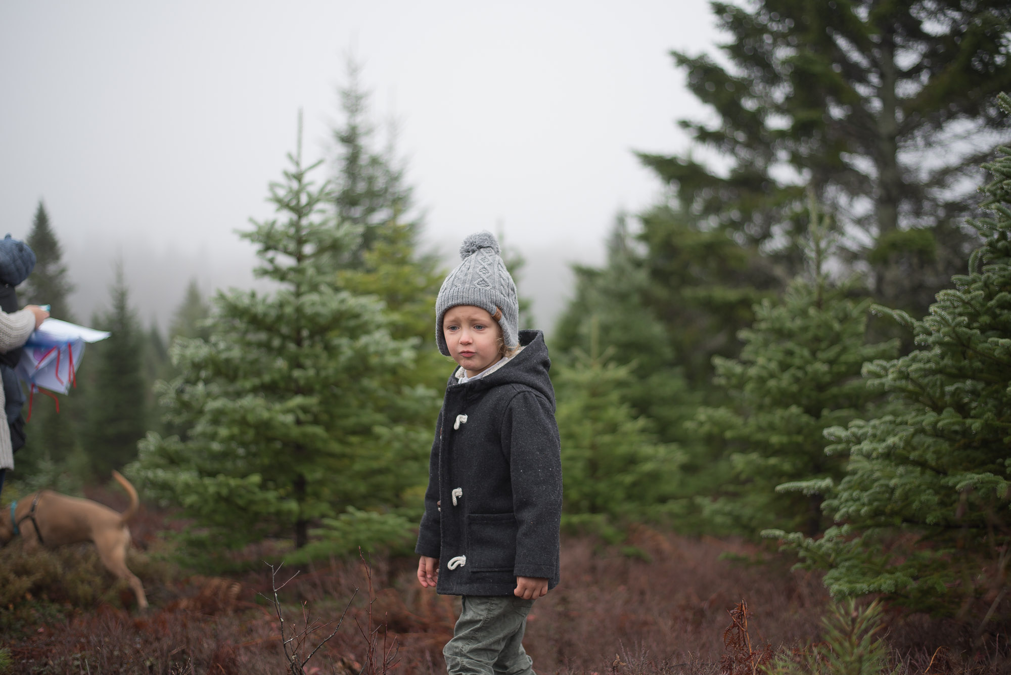 Wild Rosebuds continues her family tradition of tagging a Christmas Tree at her Great Uncles lot