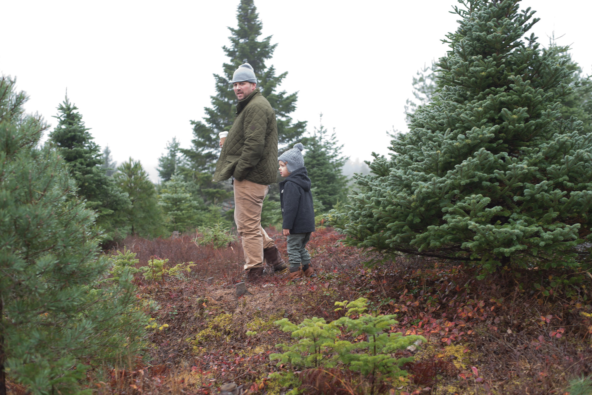 Wild Rosebuds continues her family tradition of tagging a Christmas Tree at her Great Uncles lot