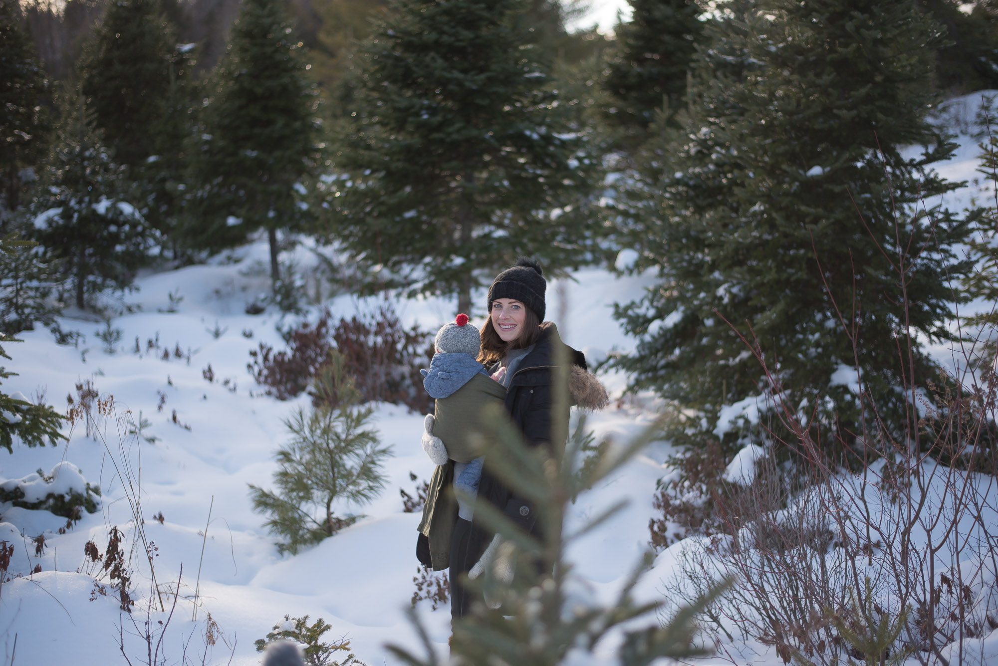 A day of Tree hunting with the family