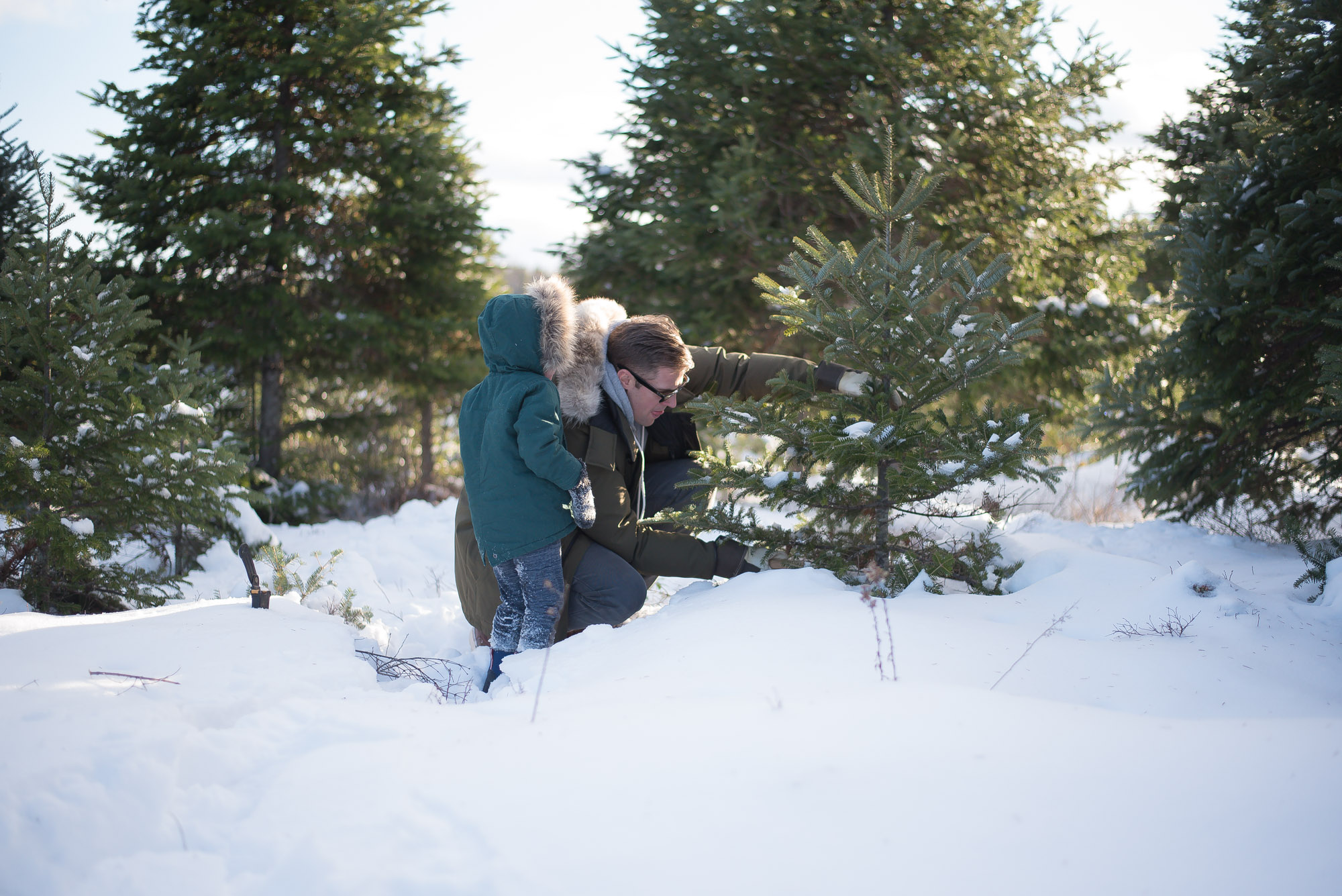 A day of Tree hunting with the family