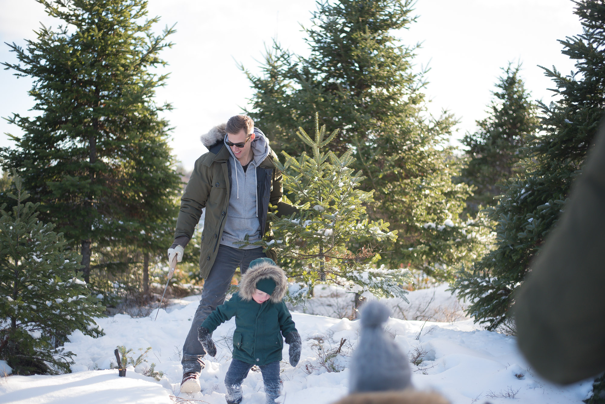 A day of Tree hunting with the family