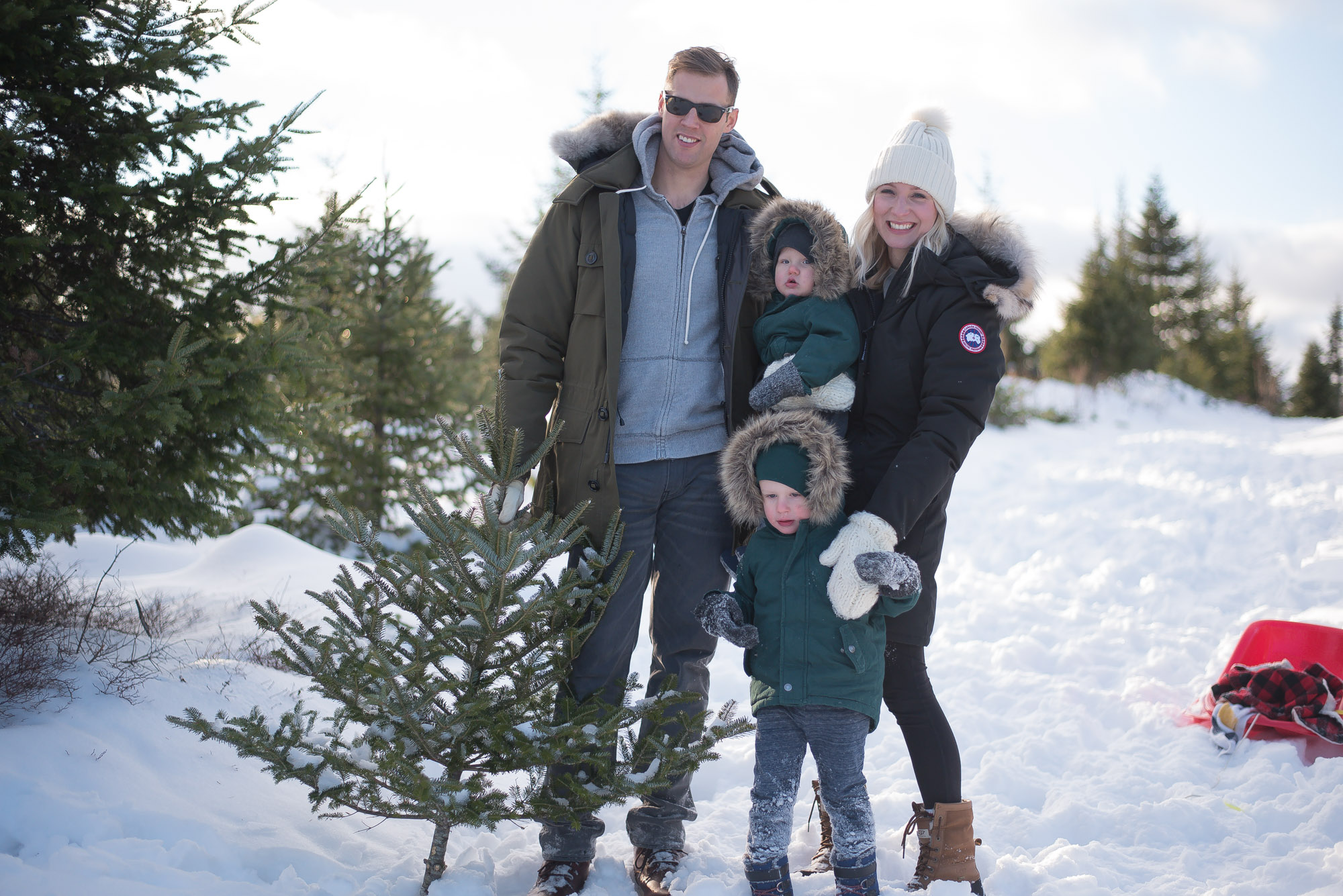 A day of Tree hunting with the family