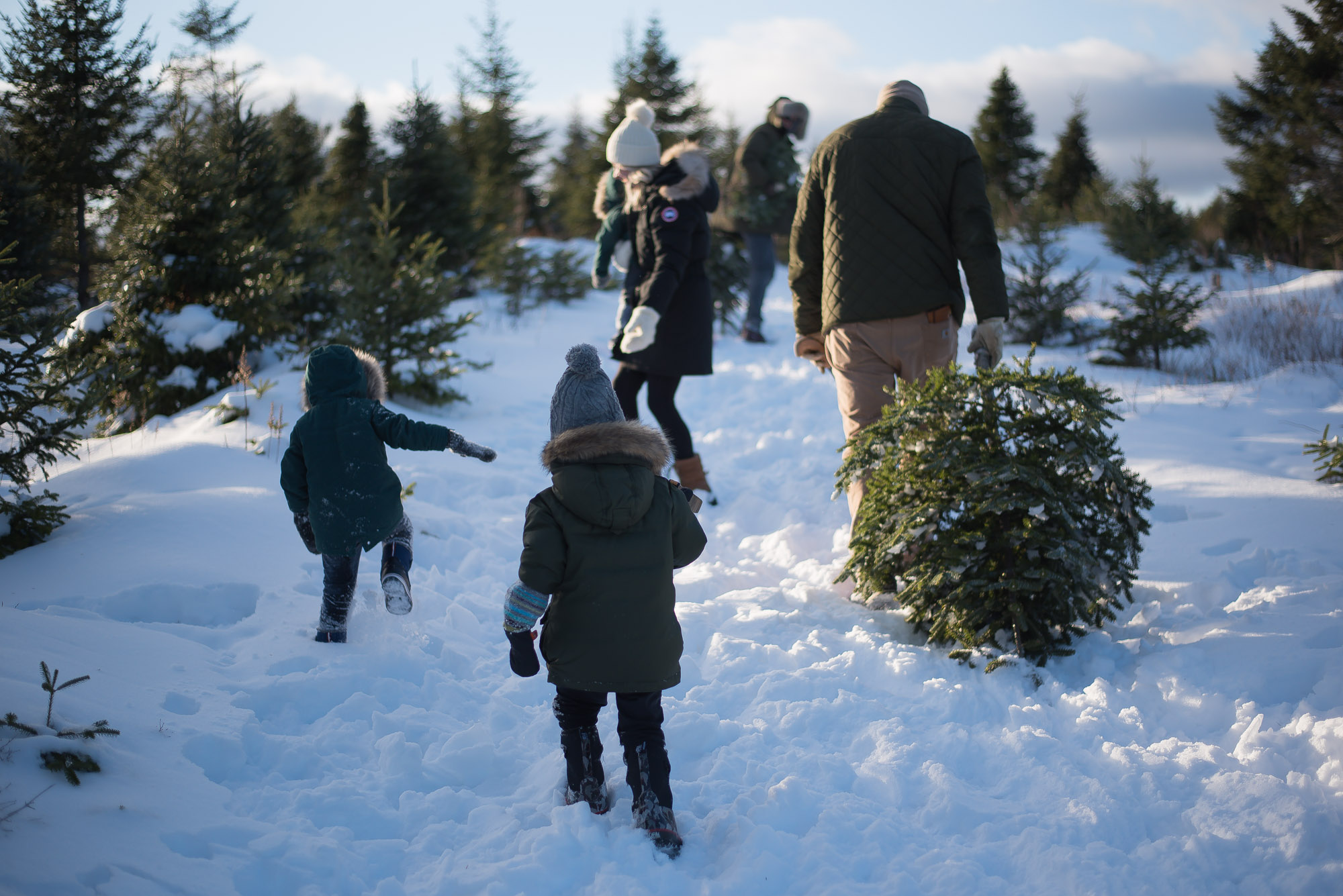 A day of Tree hunting with the family