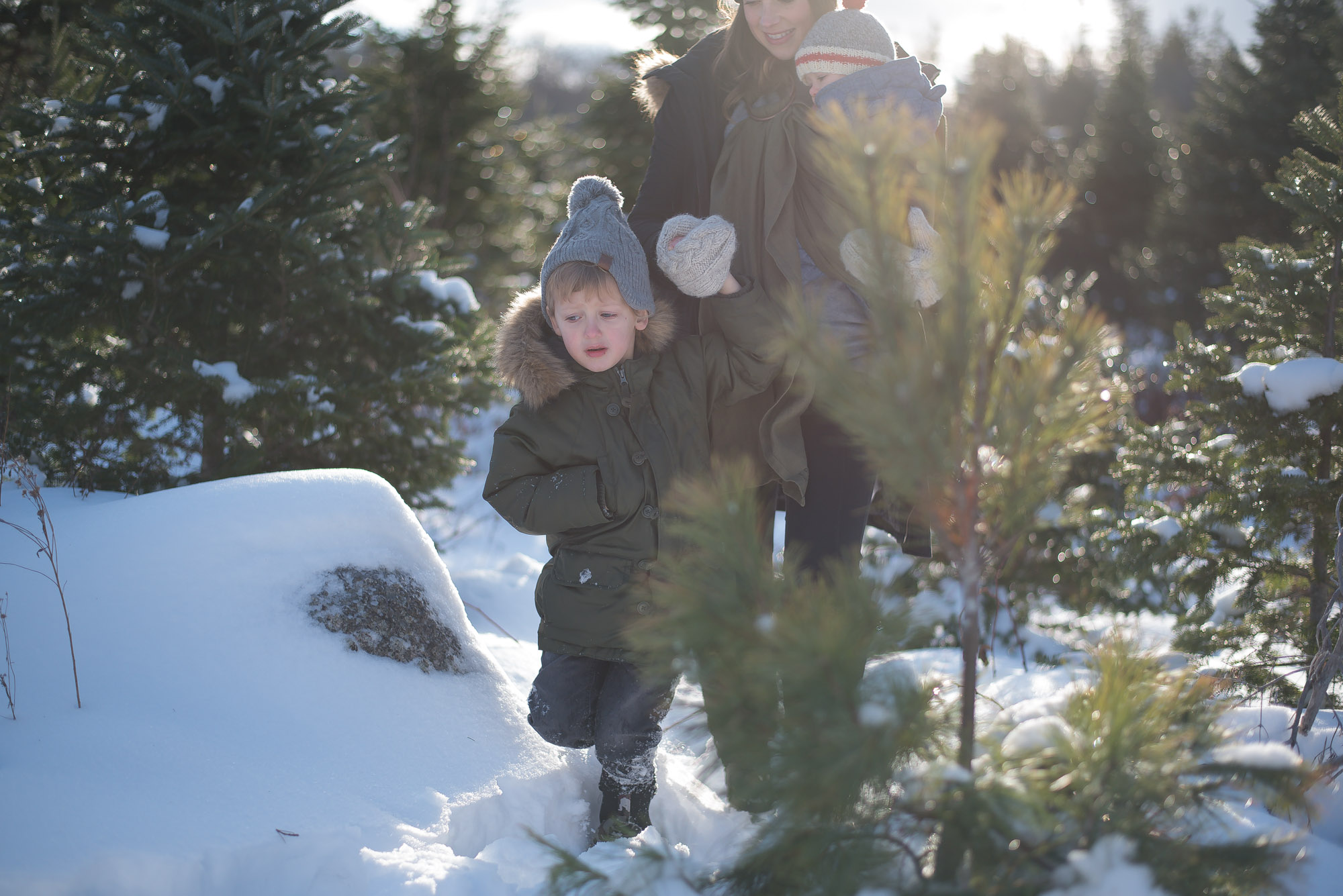 A day of Tree hunting with the family