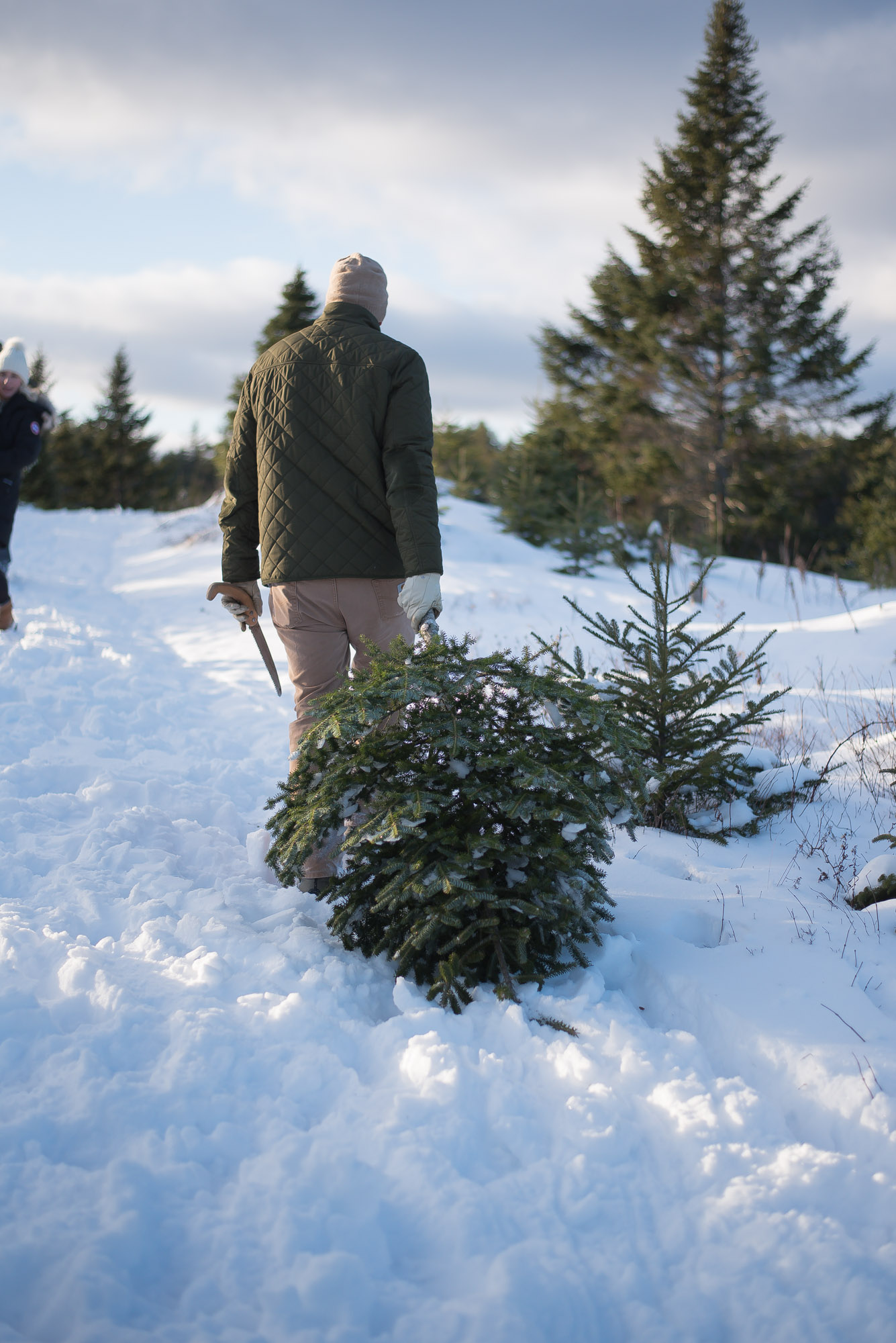 A day of Tree hunting with the family