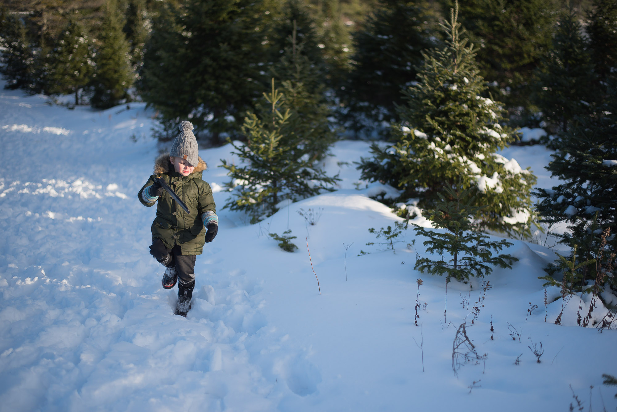 A day of Tree hunting with the family