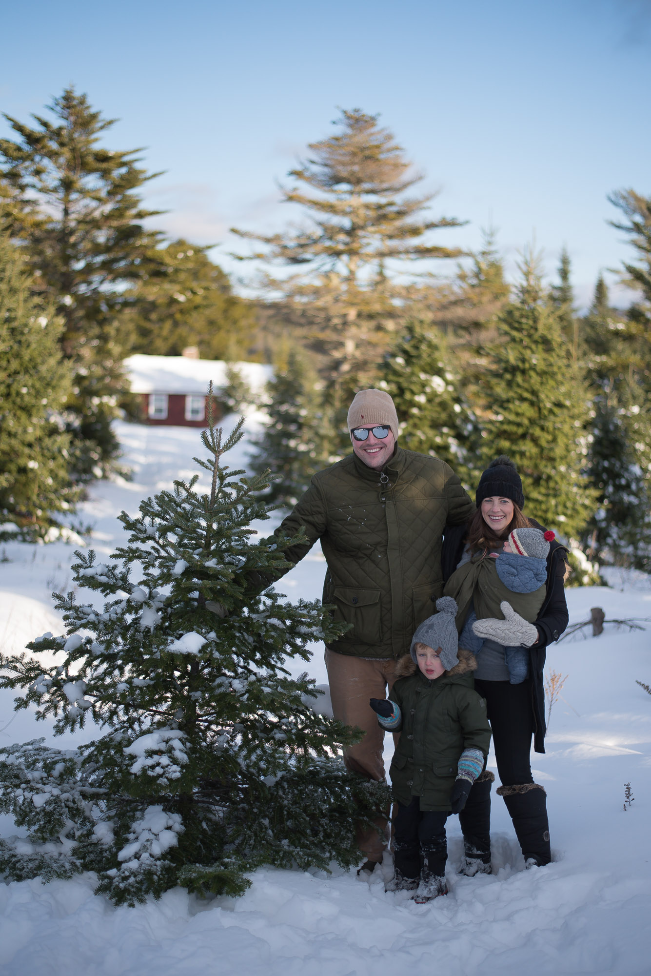 A day of Tree hunting with the family