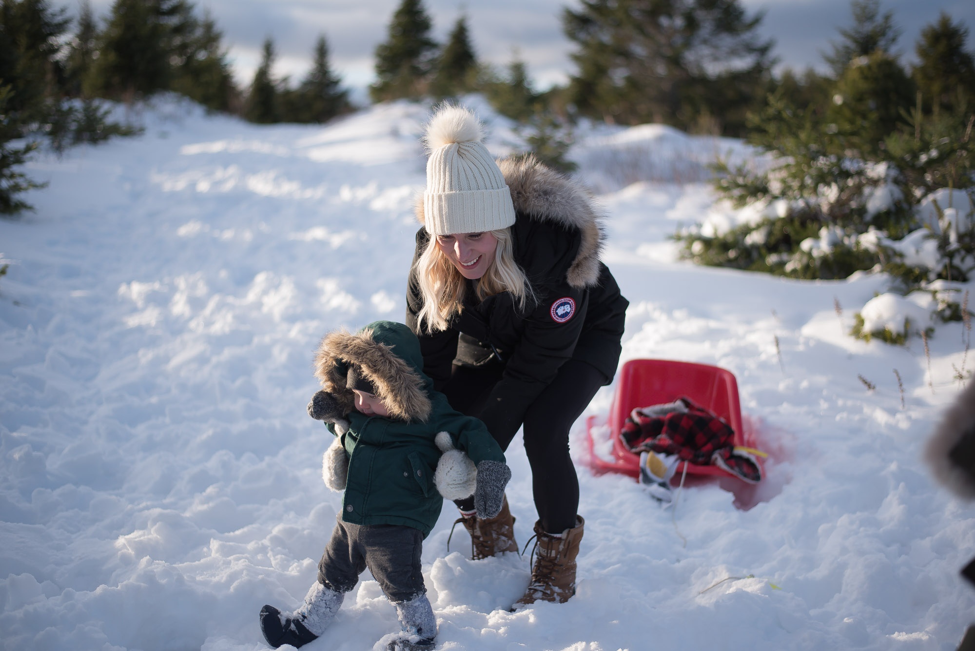 A day of Tree hunting with the family