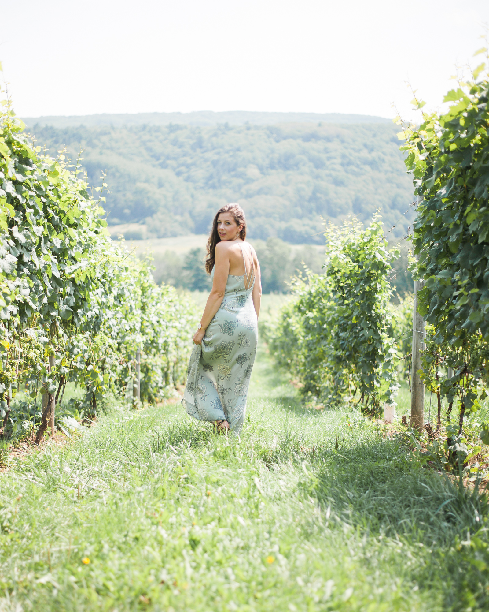 Wild Rosebuds: Summer Road Trip To Annapolis Valley Wineries