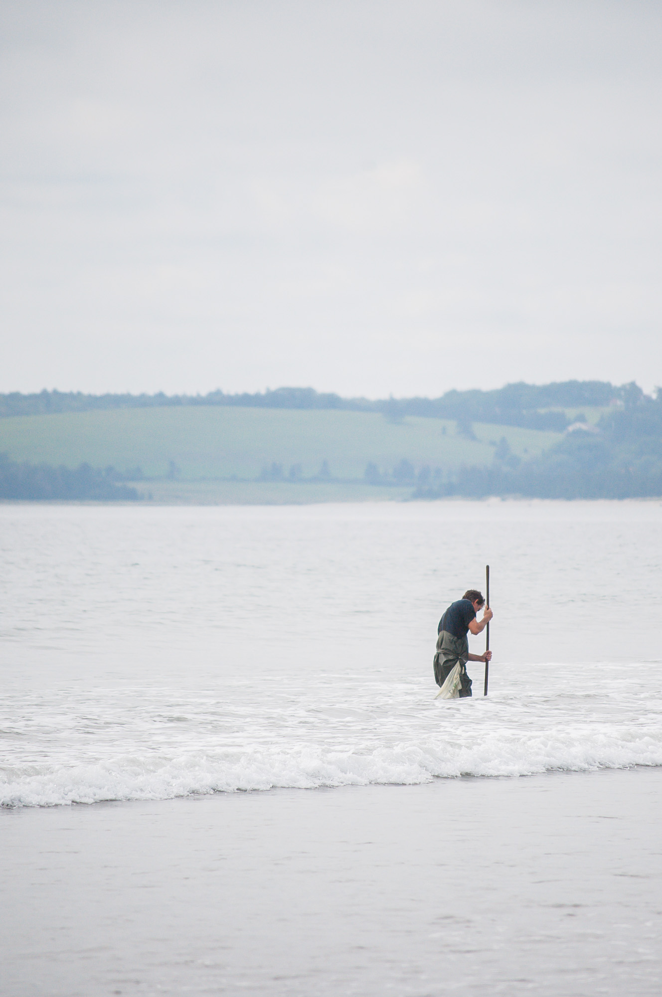 Man Clam Digging at Crescent Beach