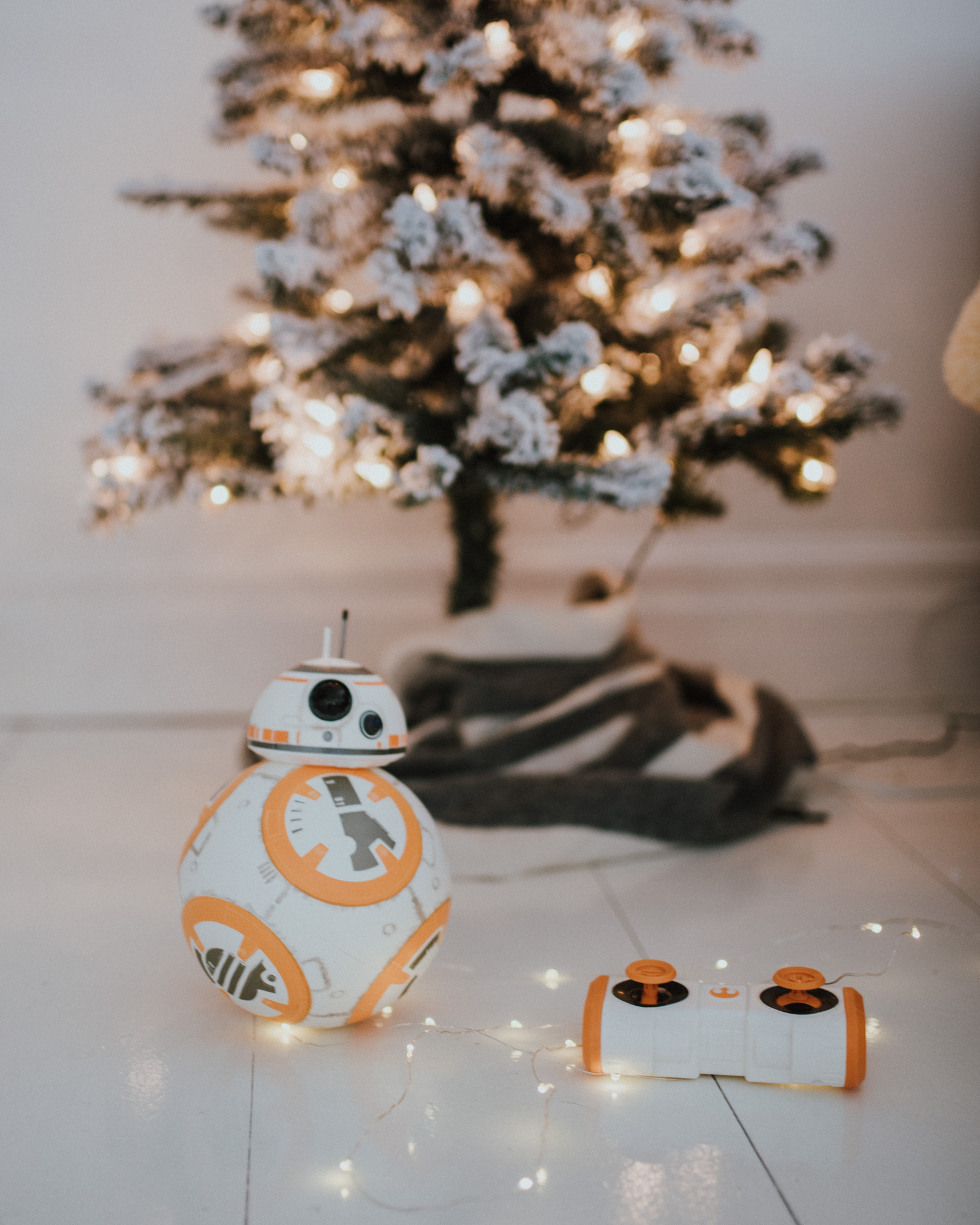 Wild Rosebuds | Gift Guide For Kids 3-6 With Walmart | BB8 Robot