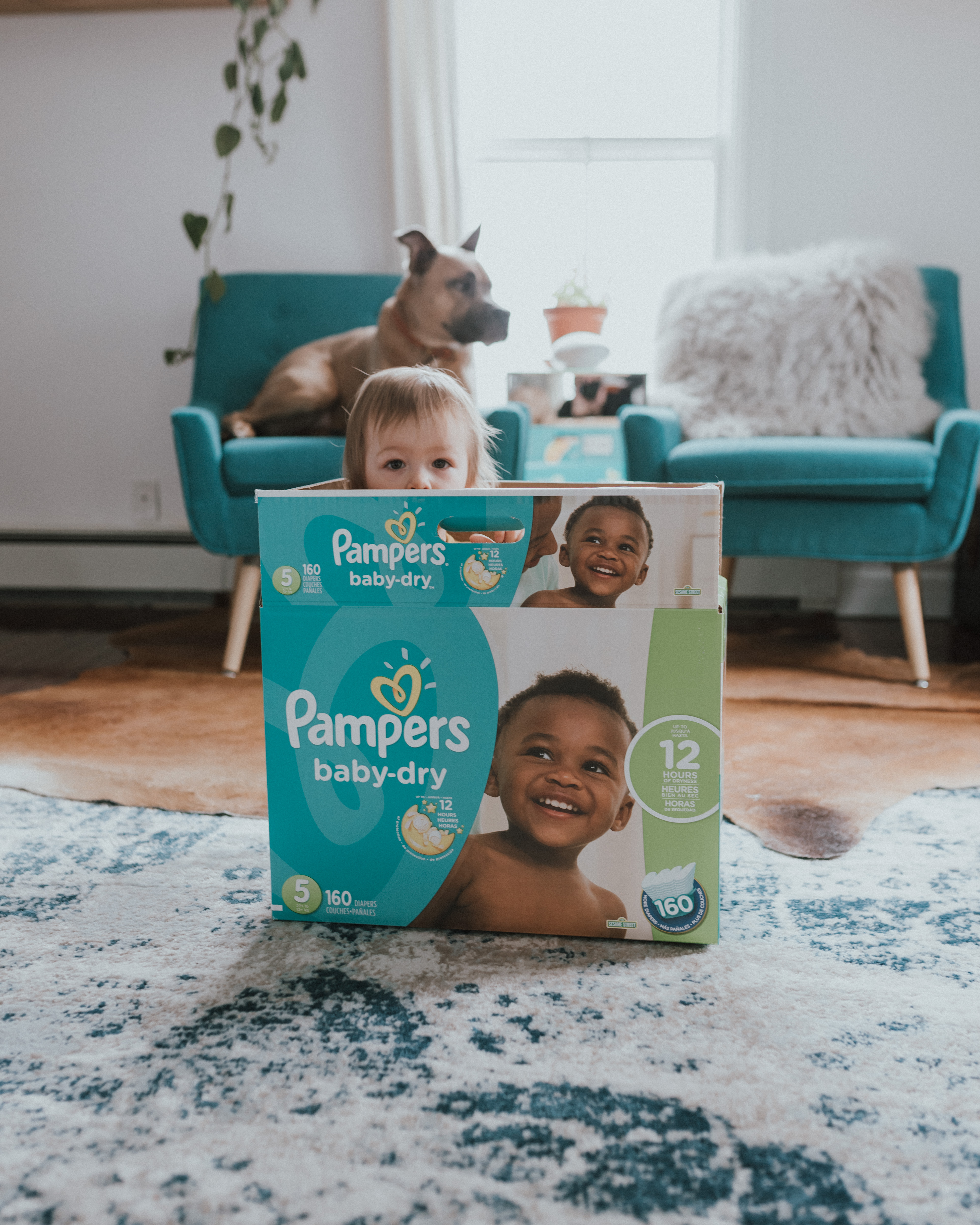 The Wild Decoelis | Pampers Rewards App | how you can earn points