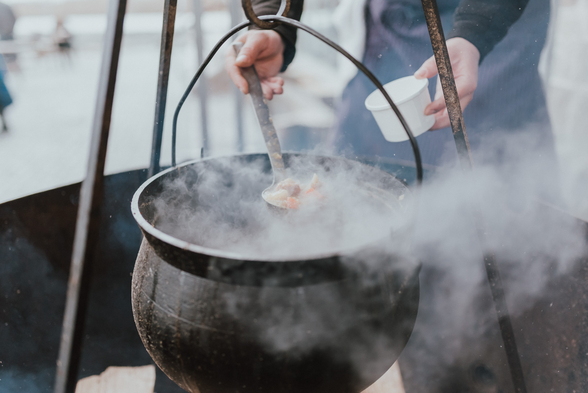 The Wild Decoelis | Nova Scotia Ice Wine Festival| 22