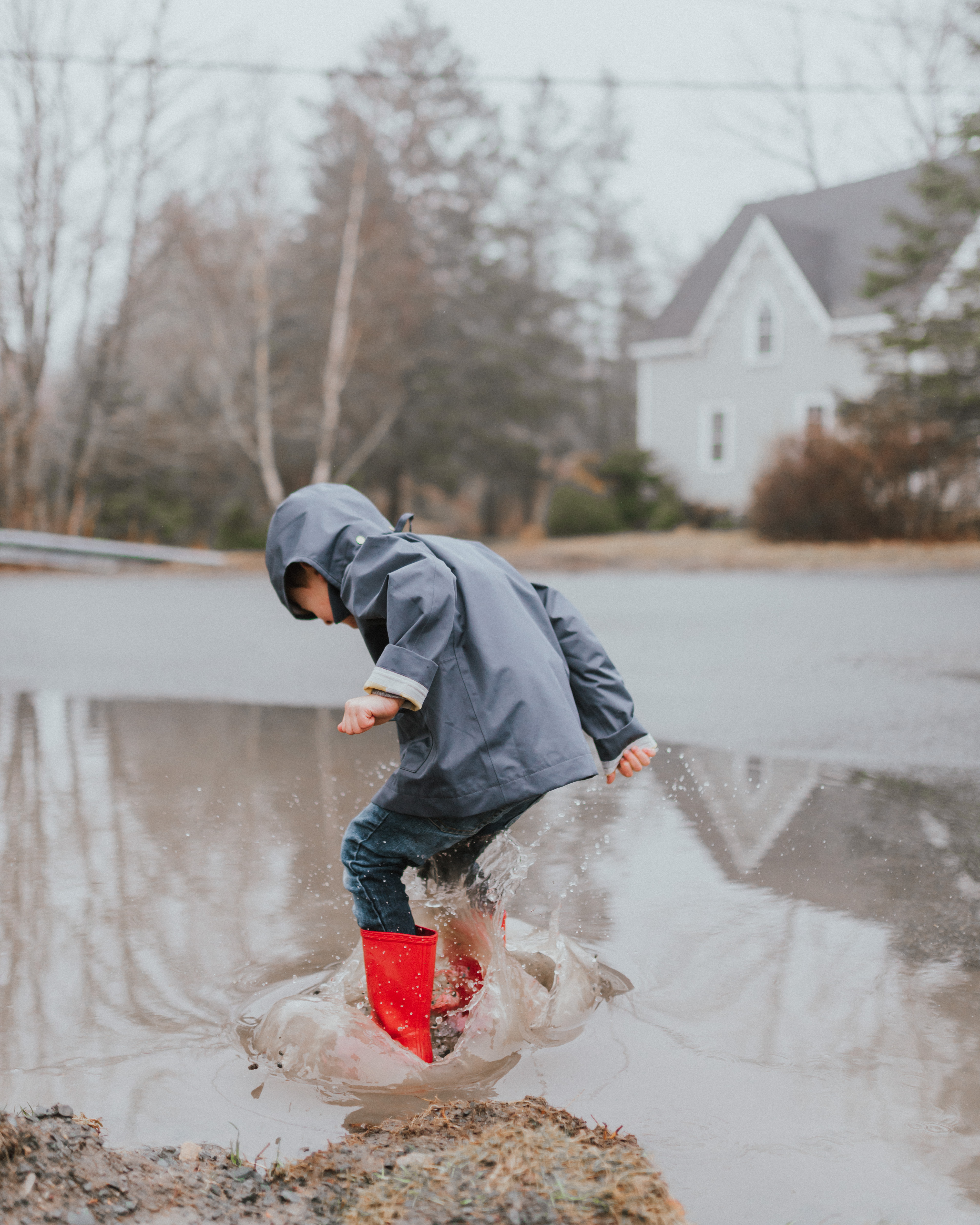 The Wild Decoelis | The Best Things To Do During Spring | spring in nova scotia