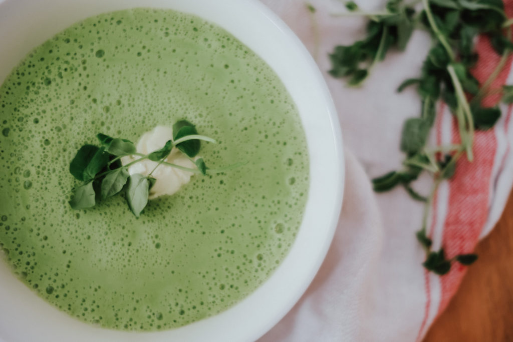 The Wild Deceolis | Mothers Day With Vitamix | easy spring pea soup recipe made in the vitamix