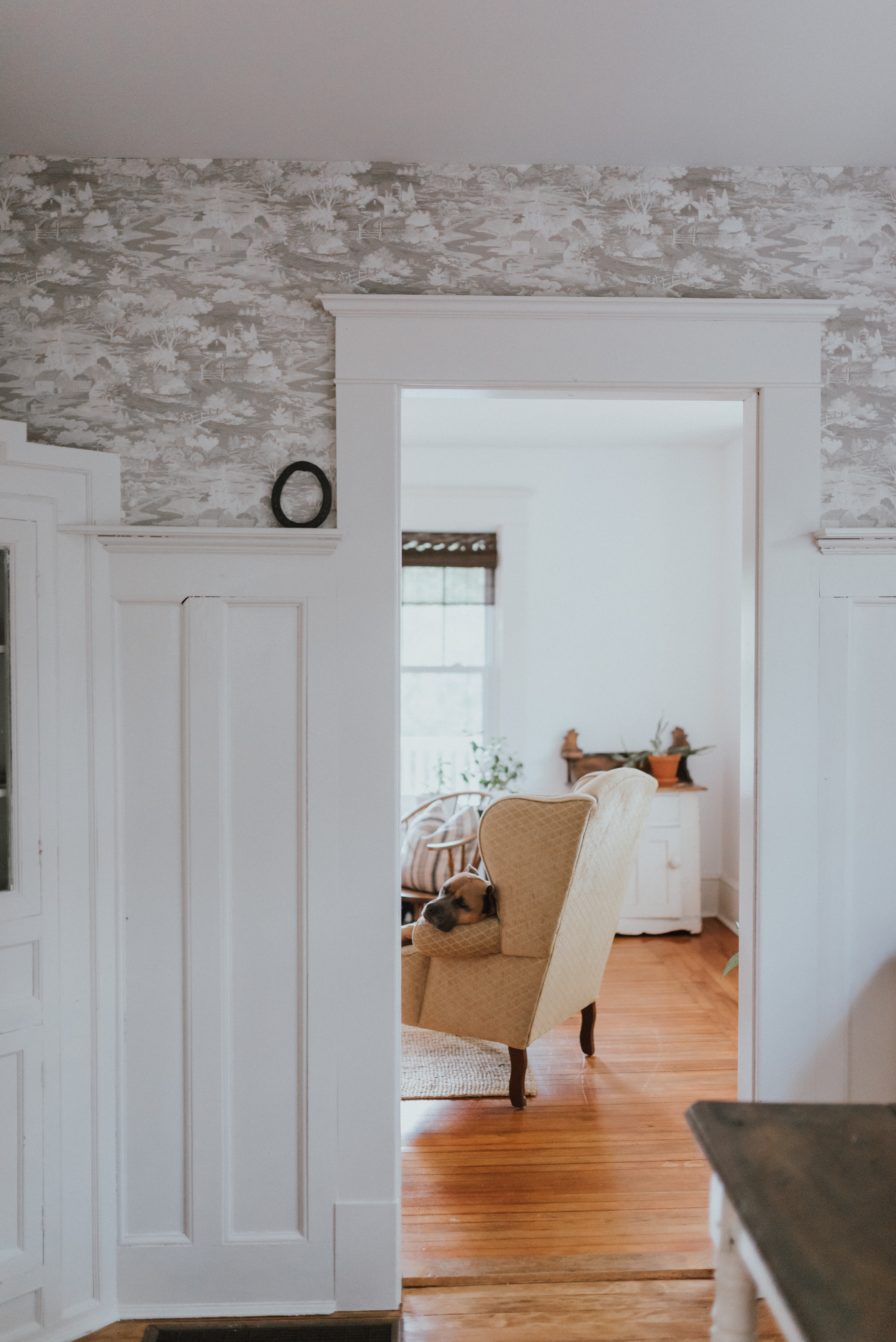 The Wild Decoelis | Paint and Wallpaper: Our Budget-Friendly Way to Make Over a Home With Home Depot | how to paint stained wood trim white