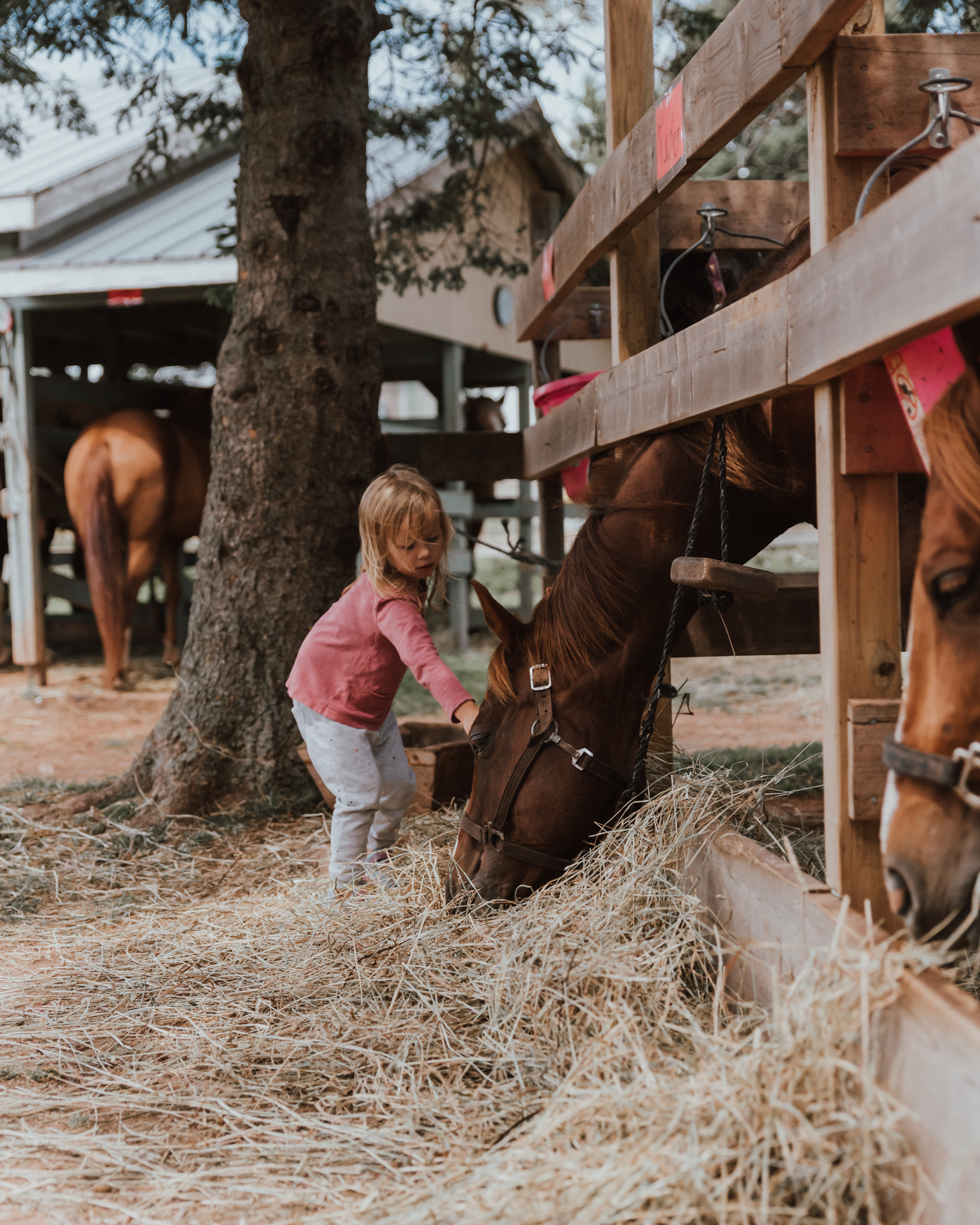 Our Family Vacation to the Rodd Brudenell River Resort | The Wild Decoelis